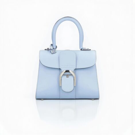 Delvaux Brillant Mini Smooth Leather