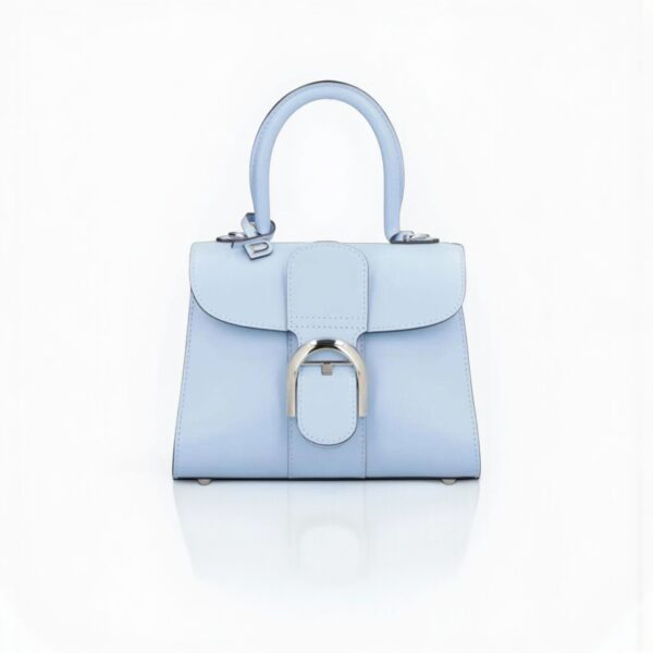 Delvaux Brillant Mini Smooth Leather