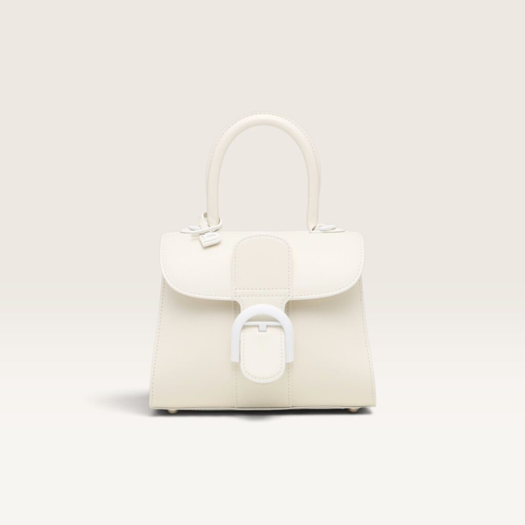 Delvaux Brillant Mini Smooth Leather