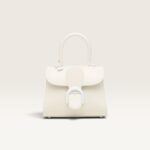 Delvaux Brillant Mini Smooth Leather