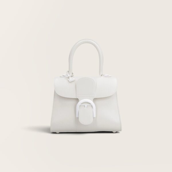 Delvaux Brillant Mini Smooth Leather