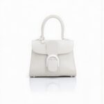 Delvaux Brillant Mini Smooth Leather