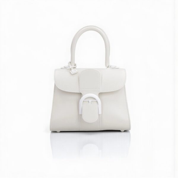 Delvaux Brillant Mini Smooth Leather