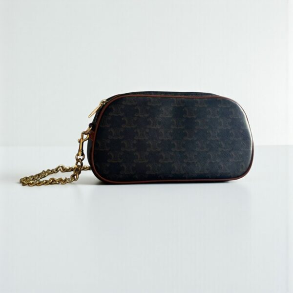 Celine Multi Bag in Triomphe Canvas