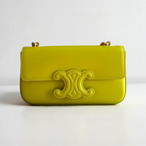 Celine Wallet on Chain Triomphe Bag