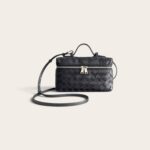 Bottega Veneta Bang Bang Vanity Case Bag