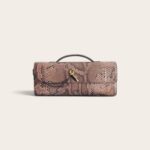 Bottega Veneta Andiamo Clutch