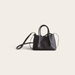 Bottega Veneta Small Pinacoteca Bag
