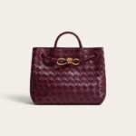 Bottega Veneta Small Andiamo Bag