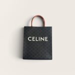 Celine Vertical Cabas in Triomphe Canvas and Calfskin