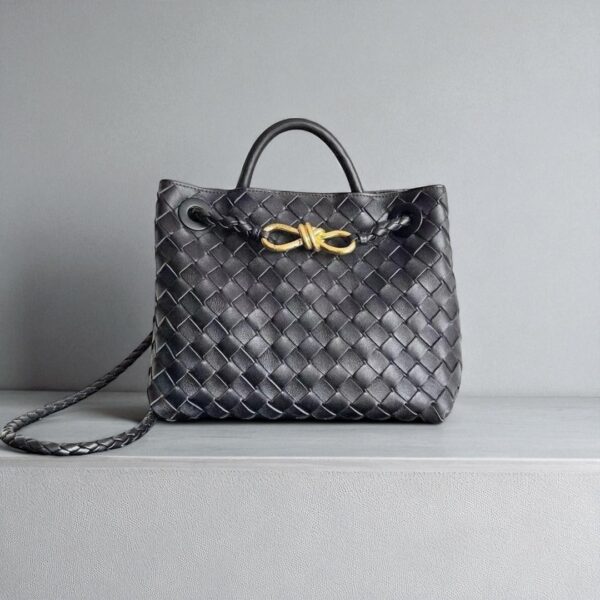 Bottega Veneta  Small Andiamo Bag