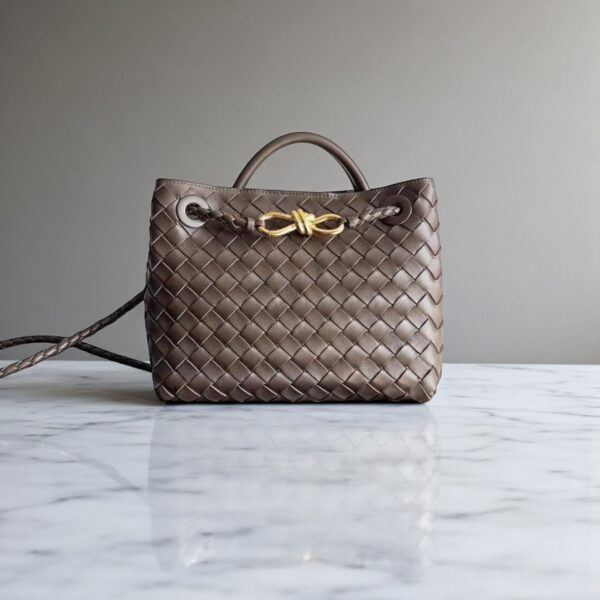 Bottega Veneta Small  Andiamo Bag