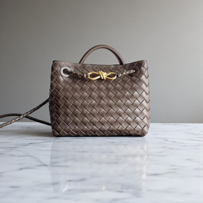Bottega Veneta Small  Andiamo Bag