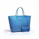 Goyard Saint Louis Bag