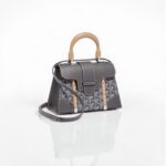 Goyard Saďgon Structuré Mini Bag
