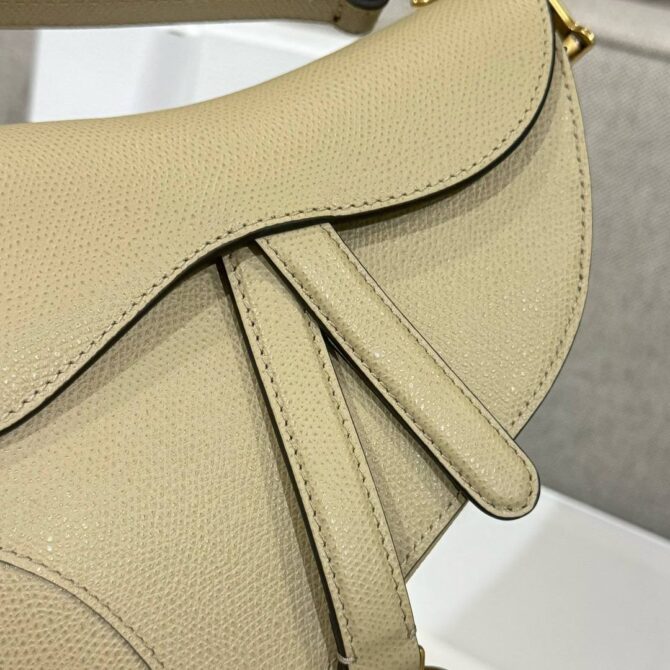 Dior Saddle Bag