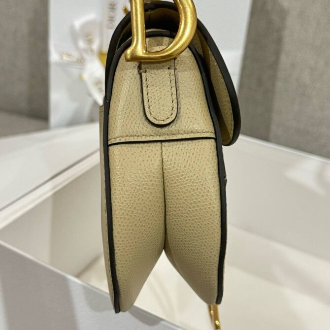 Dior Saddle Bag