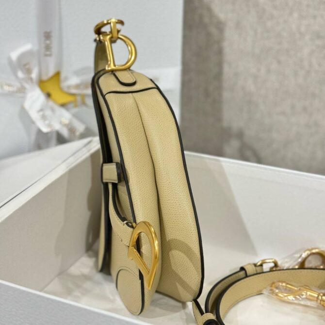 Dior Saddle Bag