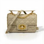 Small Dior Jolie