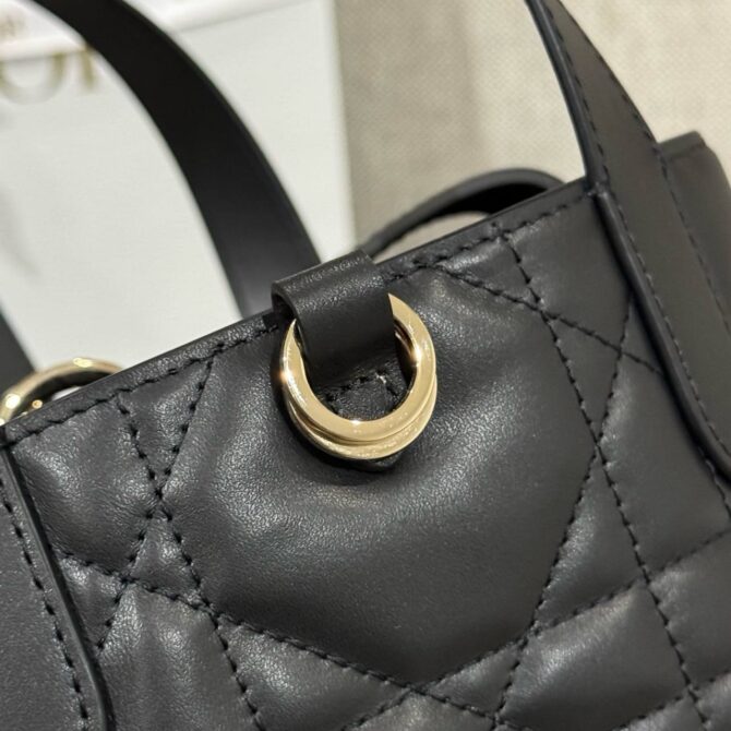 Dior Toujours Small Tote Bag