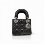 Mini Lady Dior Bag
