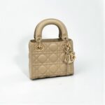 Mini Lady Dior Bag