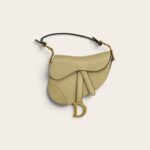 Dior Saddle Bag