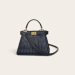 Fendi ISeeU Bag