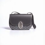Goyard 233 Bag