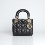 Mini Lady Dior Bag