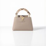 LV Capucines Mini