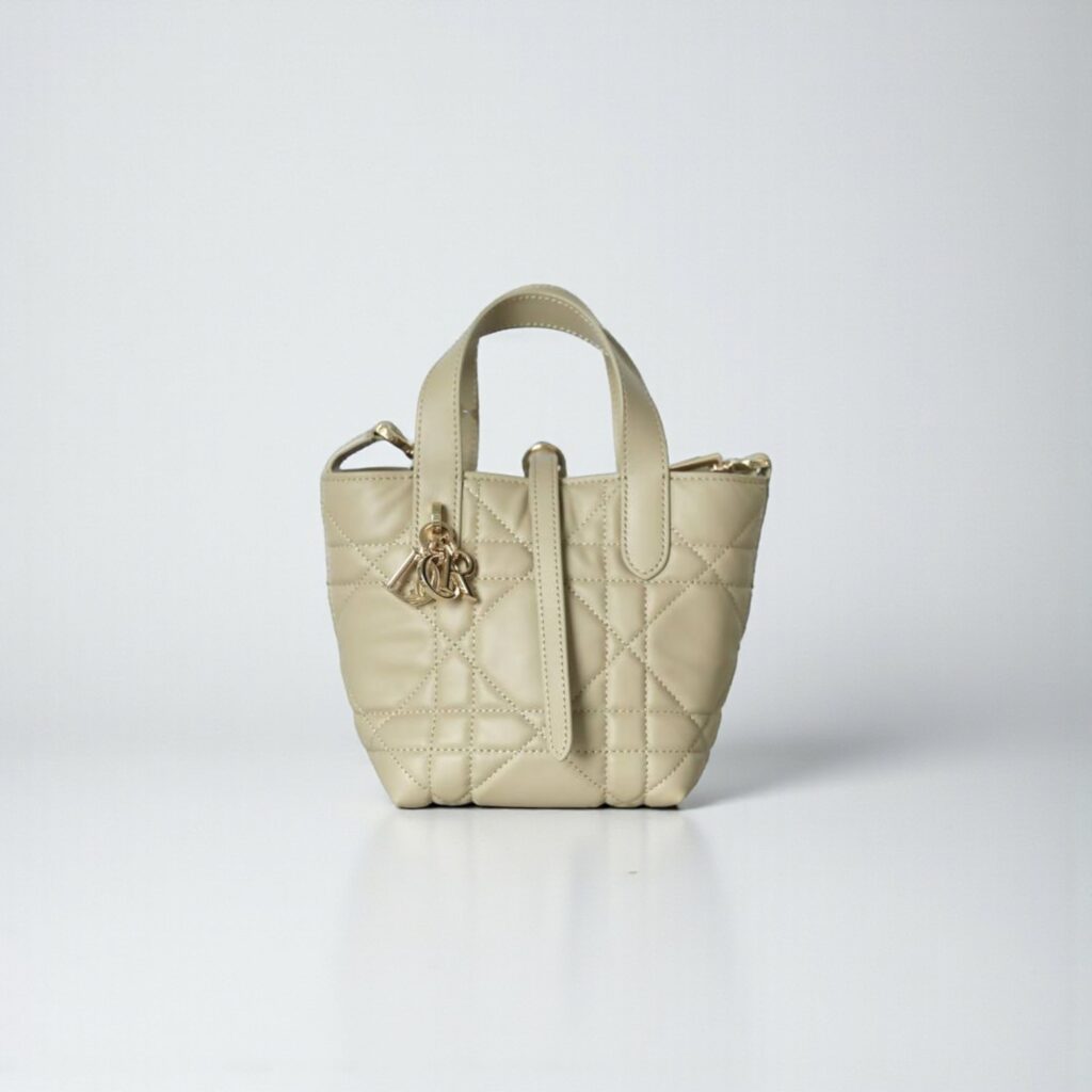 Dior Toujours Vertical Nano Tote Bag