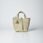 Dior Toujours Vertical Nano Tote Bag