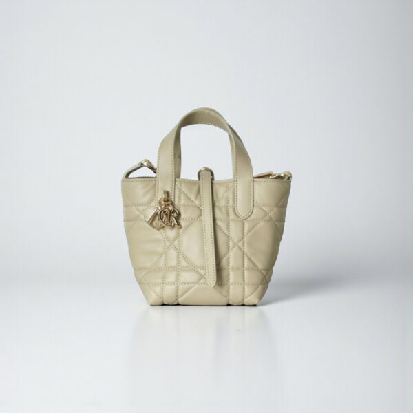 Dior Toujours Vertical Nano Tote Bag