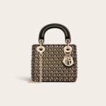 Mini Lady Dior Bag