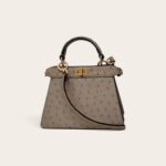 Fendi Peekaboo ISeeU Bag