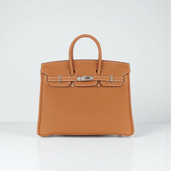 Hermès Birkin 25