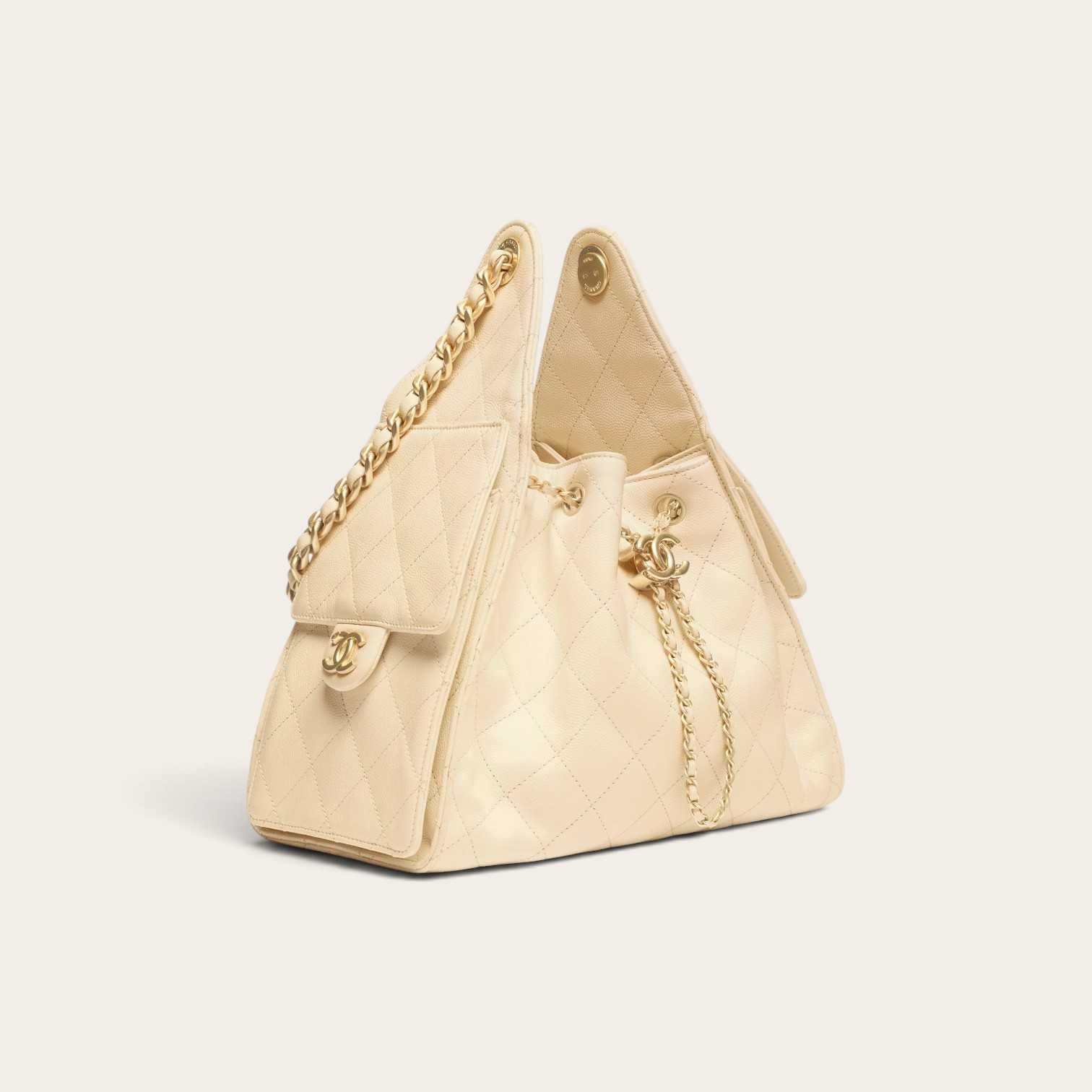 CHANEL 25 Small Handbag