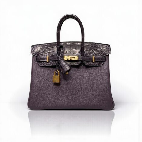 Hermès Birkin 25 Touch