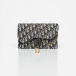 Dior Saddle Pouch with Chain