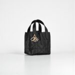 Dior Toujours Vertical Nano Tote Bag