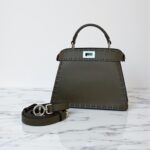 Fendi ISeeU Bag