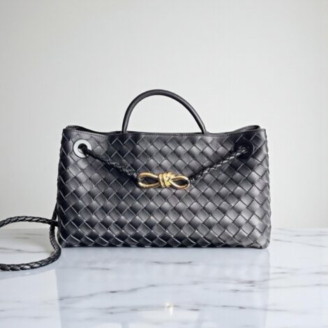 Bottega Veneta East/West Andiamo bag