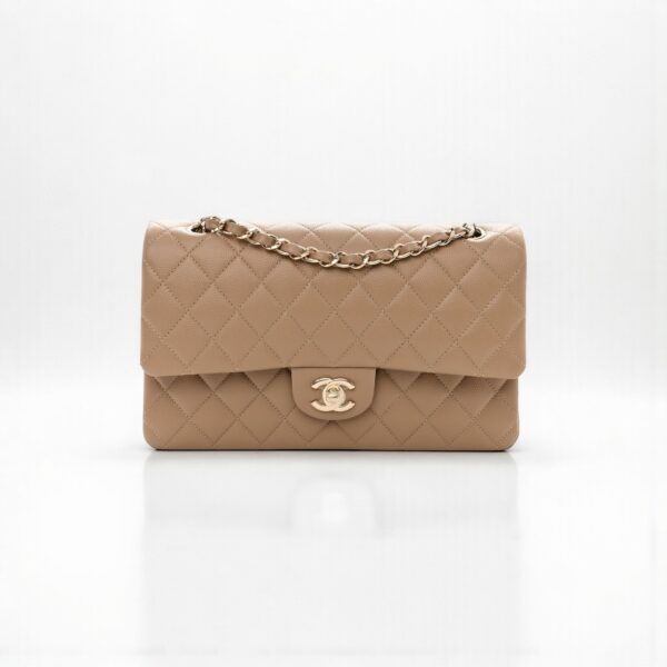 Chanel Medium Classic Double Flap Bag
