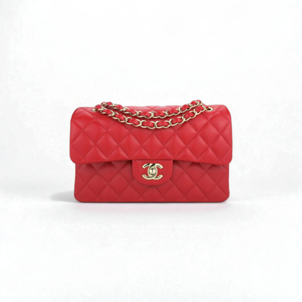 Chanel Small Classic Double Flap Bag