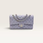 Chanel Medium Classic Double Flap Bag