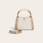 LV Capucines Mini