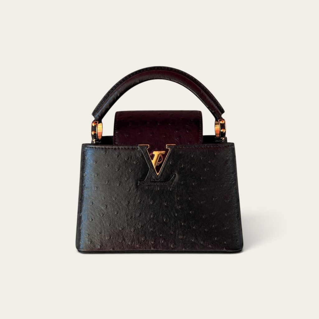LV Capucines Mini