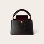 LV Capucines Mini