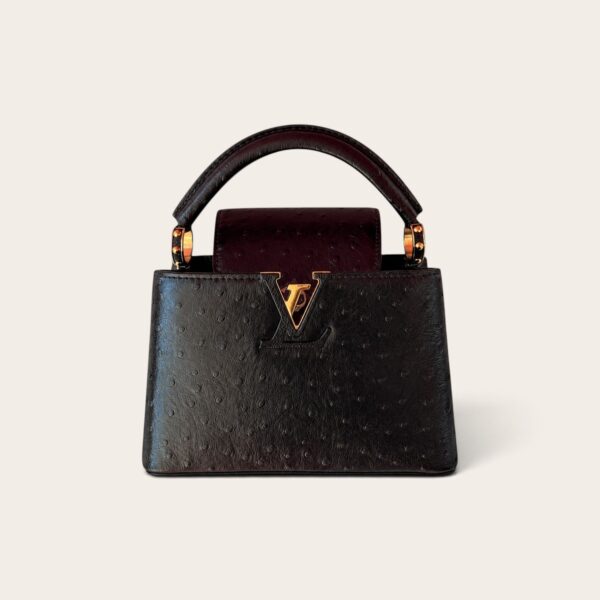LV Capucines Mini